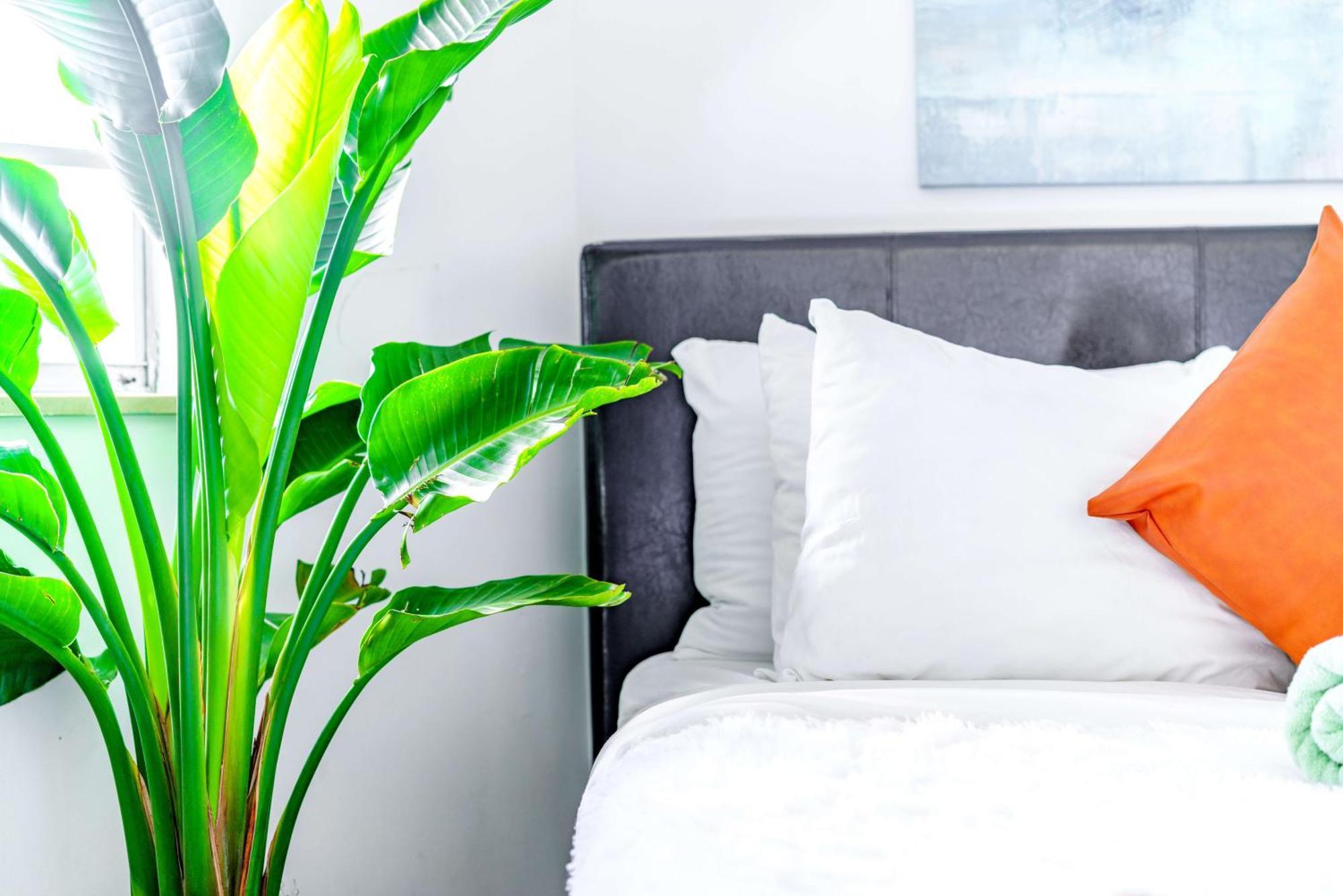 Short North Convention Private Parking Pets Apartment Кълъмбъс Екстериор снимка