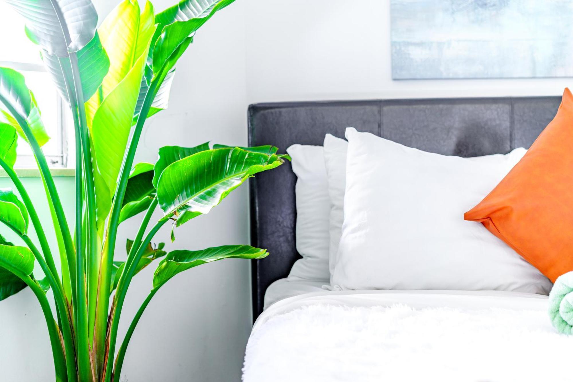 Short North Convention Private Parking Pets Apartment Кълъмбъс Екстериор снимка
